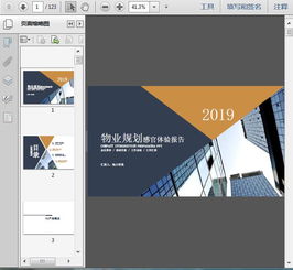 2019精品公寓项目物业规划感官体验报告 清洗及保洁服务